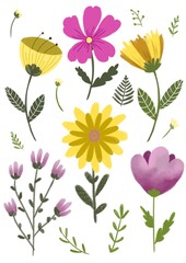 Set of spring pink and yellow illustrated flowers 