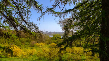 Fototapeta na wymiar Beautiful city park on a summer sunny day. Cityscape in the background. Botanical garden in spring season.
