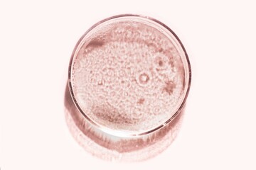 Pink cosmetic liquid on Petri dish. Tonic or toner serum gel swath. Mock up