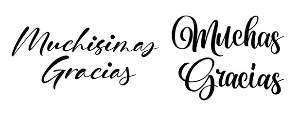 Gracias calligraphy spanish text. Lettering postcard design in script style. Vector isolated illustration - obrazy, fototapety, plakaty