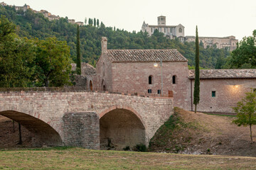 Fototapeta premium Assisi. Bosco di San Francesco