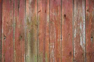 Obraz premium Red wood texture background, natural pattern.