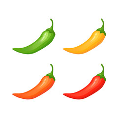 Hot spicy level with flame pepper. Infographic design template with red hot chili pepper on white background. Vector illustration