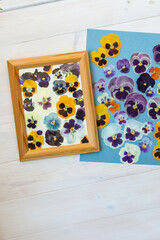 Herbarium of various dried flowers. Many dry viola buds on a blue background. Needlework with natural objects.