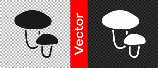 Black Mushroom icon isolated on transparent background. Vector