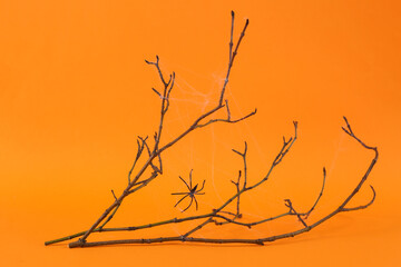 Fototapeta na wymiar Dry branch with a cobweb and a spider on an orange background. Halloween decor