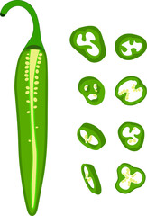 Hot pepper vector illustration. Hot pepper. Chilli. Cayenne pepper. Piece of pepper, pepper pieces with seeds, pepper circles, chopped pepper with seeds.