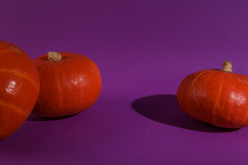 Pumpkins on purple background with shadow. Autumn harvest, Halloween symbol. Minimal still life