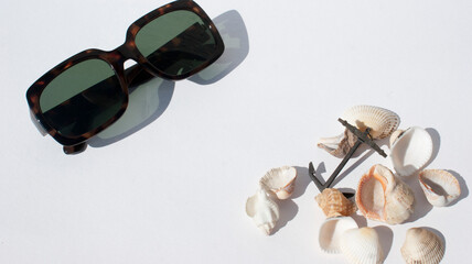 Summer concept. Sea, ocean shells and dark sunglasses on a white, pastel background Flat lay, top...