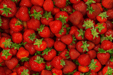Red background of ripe strawberries. Close, top view