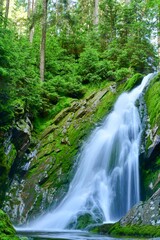 Fototapeta na wymiar waterfall in the woods stones with moss
