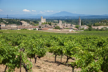 Au pied des vignes le village d'Aiguèze dans le Gard avec le Mont Ventoux dans le fond - obrazy, fototapety, plakaty