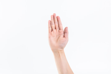 Obraz premium The various gestures of one hand