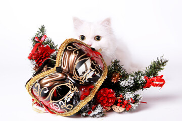 White Persian behind a Christmas mask in isolation on white