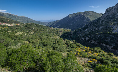 Fototapeta na wymiar Southbound view of Lousios valley with Louysios river as seen from Dimitsana, Arcadia, Peloponnesw, Greece