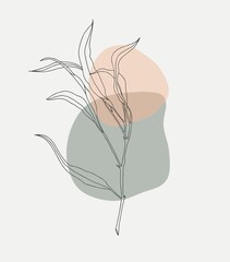 Minimalist leaves background Vector. Branch of olive tree
