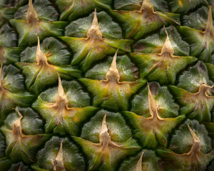 Pineapple skin texture macro shot