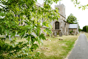 Fototapeta na wymiar Shallow focus of fresh summer leaves on a tree seen in a typical English cemetery. A path can be seen leading to the church entrance on the right.