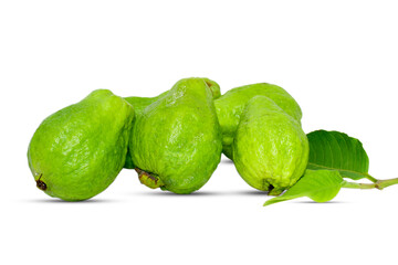 Fresh green guava fruit isolated on white background