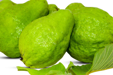 Fresh green guava fruit isolated on white background