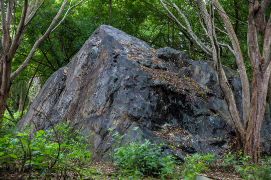 One of the gigantic rocks dragged by the avalanche, caused by the Nevado del Ruiz, that destroyed the city of Armero in 1985