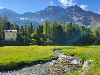 Beautiful summer landscape in Lungacqua with refreshing river streaming and blooming wild flowers field in Poschiavo, Canton Graubunden, Switzerland.