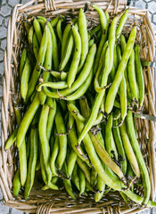 Ecological broad beans pods in a rustic box.