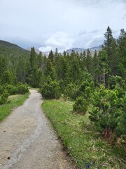Obraz premium Beautiful summer landscape in Stabelchod hiking trail in Swiss National Park, Zernez, Canton Graubunden, Switzerland.
