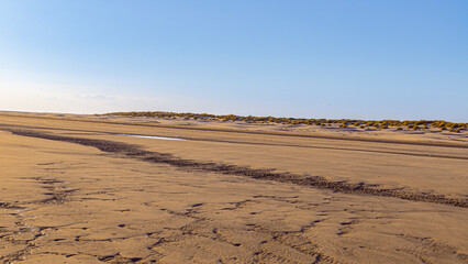 Donana National Park in Spain A UNESCO World Heritage Site