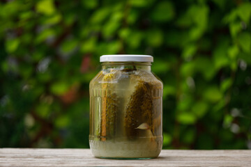 Green pickles pickled in a jar, fermentation. Natural medicinal product
