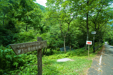 福島県の中山風穴の温度(計)
