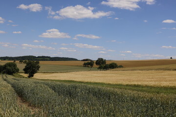 A Hut in the Fields, Landscape in Hohenlohe, Baden-Württemberg, Germany, Europe.