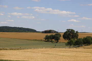 Obraz premium A Hut in the Fields, Landscape in Hohenlohe, Baden-Württemberg, Germany, Europe.