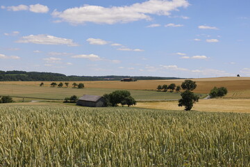 Fototapeta premium A Hut in the Fields, Landscape in Hohenlohe, Baden-Württemberg, Germany, Europe.