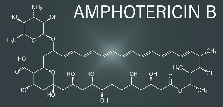 Skeletal formula of Amphotericin B antifungal drug molecule.