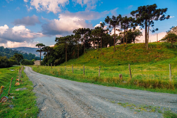Fototapeta na wymiar Colorful clouds with araucaria trees and dirty road in Santa Catarina.