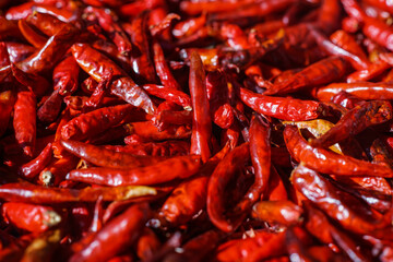 Lot of dried chili as a food background.
