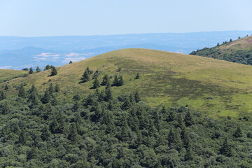 sommet du puy de Côme, Auvergne