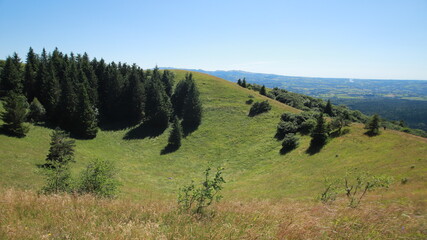 cratère du puy de Côme, Auvergne