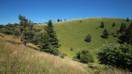 Obraz premium cratère du puy de Côme, Auvergne