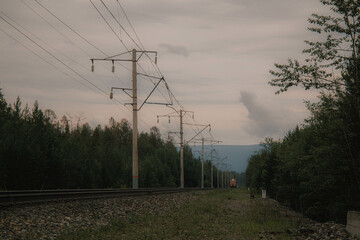 Railway track along which the train moves, conifers, woodland, nature