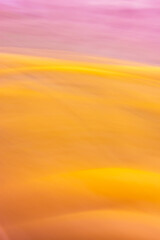 Vertical background orange pink with waves. Abstraction