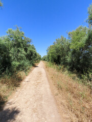 Piste en terre, réserve naturelle de l’étang du Méjean, Occitanie