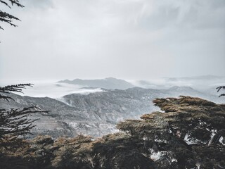 Fog over the mountains