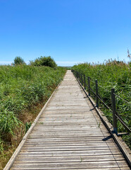 Ponton en bois, r&eacute;serve naturelle de l&rsquo;&eacute;tang du M&eacute;jean, Occitanie