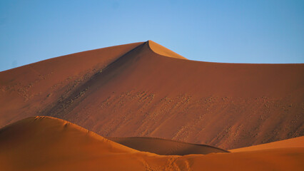 Fototapeta na wymiar Düne der Namib Wüste in Namibia