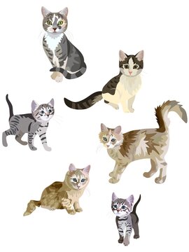 Collection of beautiful cats in different poses isolated on white background in vector. Seamless print for fabric, wallpaper, design elements. Symbols of the Chinese new year 2023.