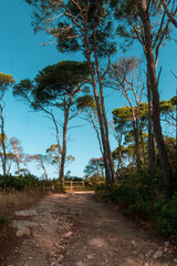 Fototapeta premium Italy, July 2022: view of the tremiti islands in puglia with its crystalline sea, nature and coves