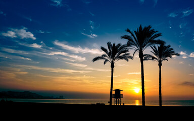 Silhouettes of palm trees on the beach at orange sunset