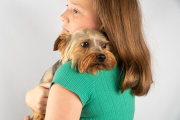 The child hugs the dog. Friendship of a dog and a man. Love for animals